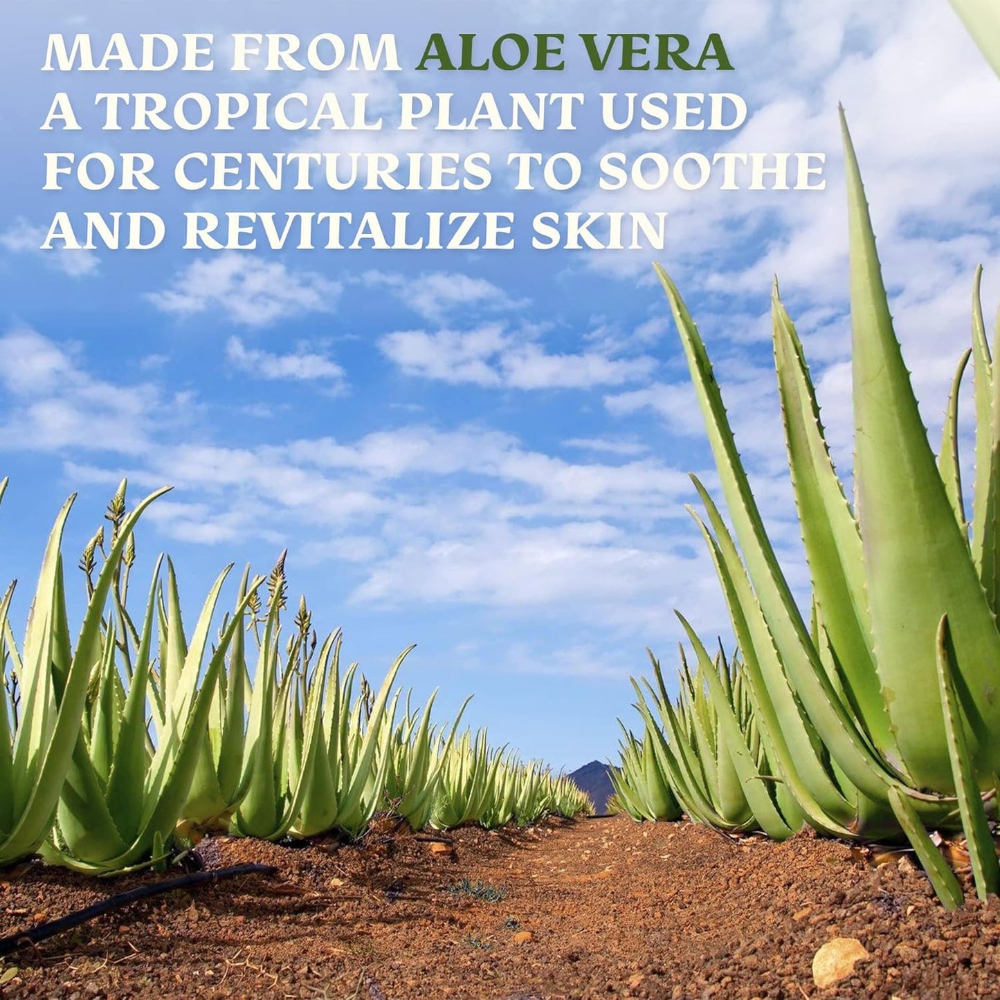 Amazing Aloe Vera Gel - Freshly Cut, 100% Pure Aloe, Premium Quality, Vegan, Unscented - Natural Sunburn Relief, After Shave, Skin, Face & Hair Care (two 8oz bottles) 16oz